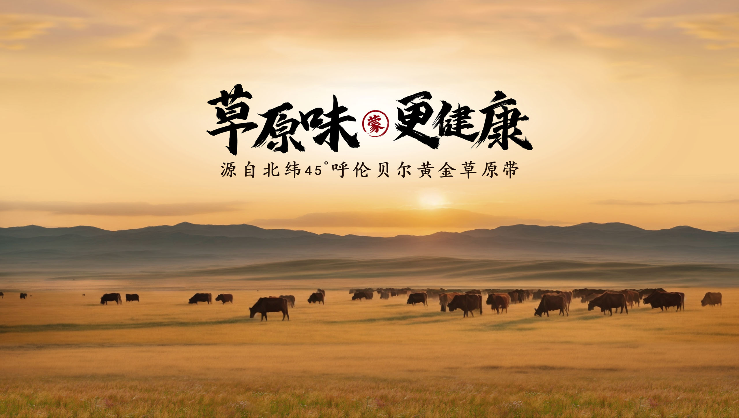 風干牛肉品牌包裝設(shè)計